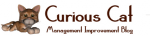 Curious Cat Management Improvement